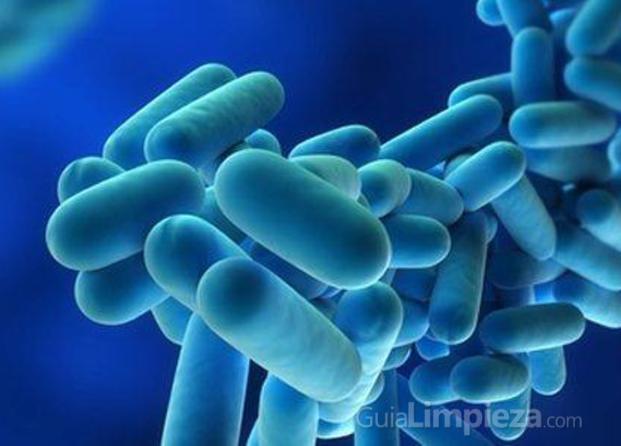 Legionella