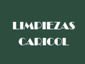 Limpiezas Caricol