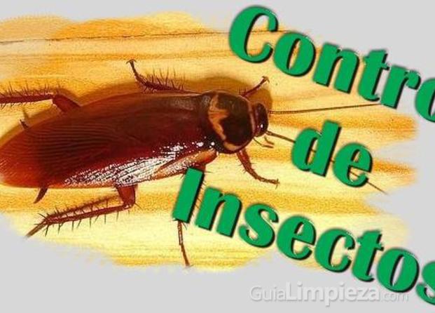 Control de insectos