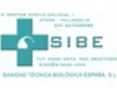 Sibe