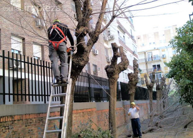 Servicio de jardinería