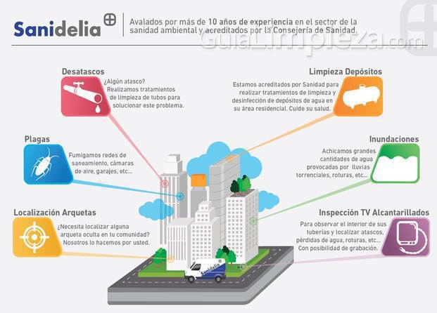 Infografía de las actividades de Sanidelia