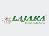 Lajara Control de Plagas